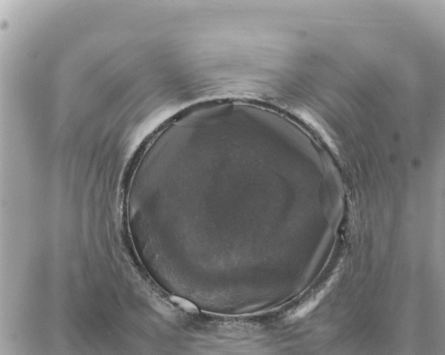 X0000087321077200705041708