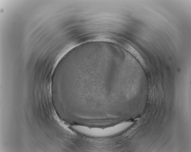 X0000087321092200705041708