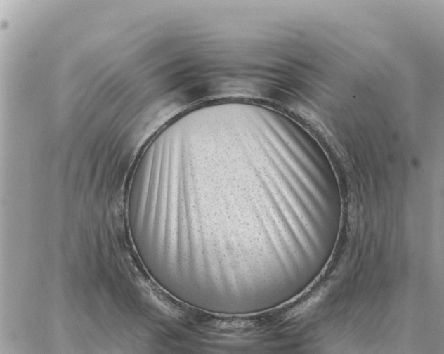 X0000087321129200705041708