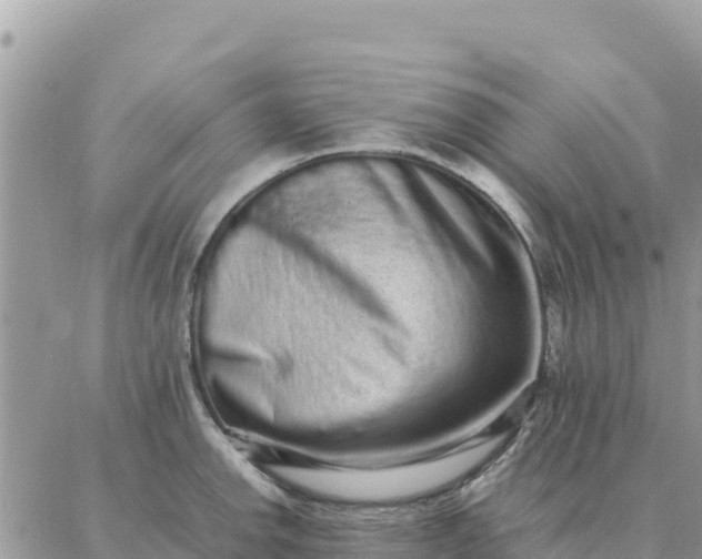 X0000087321142200705041708