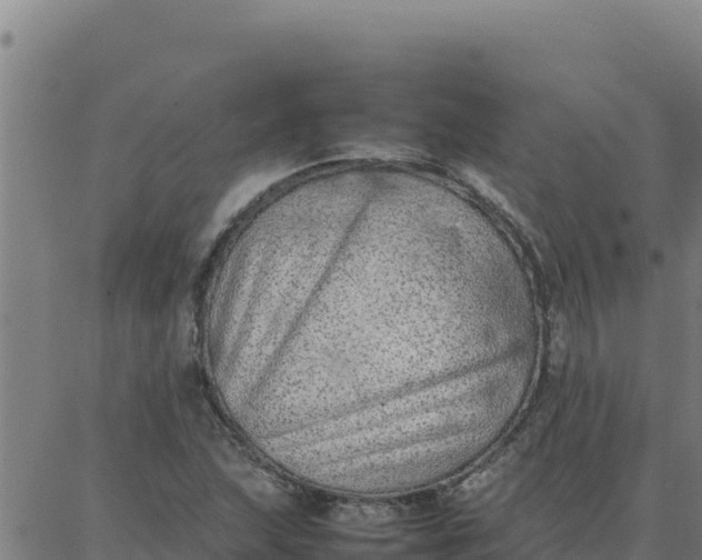 X0000087321215200705041706