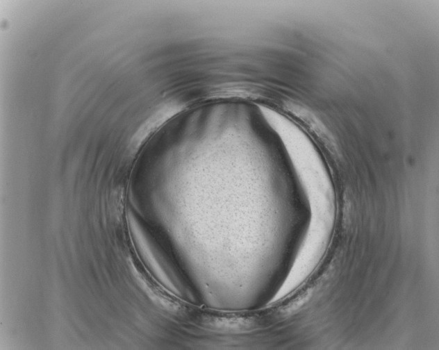 X0000087321233200705041706