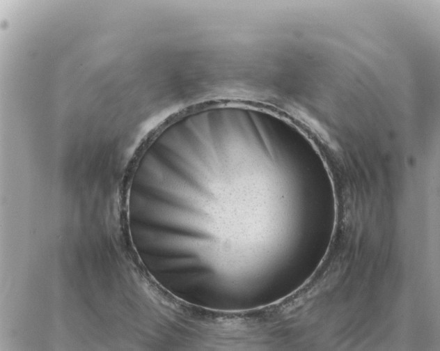 X0000087321264200705041705