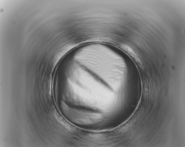 X0000087321276200705041705