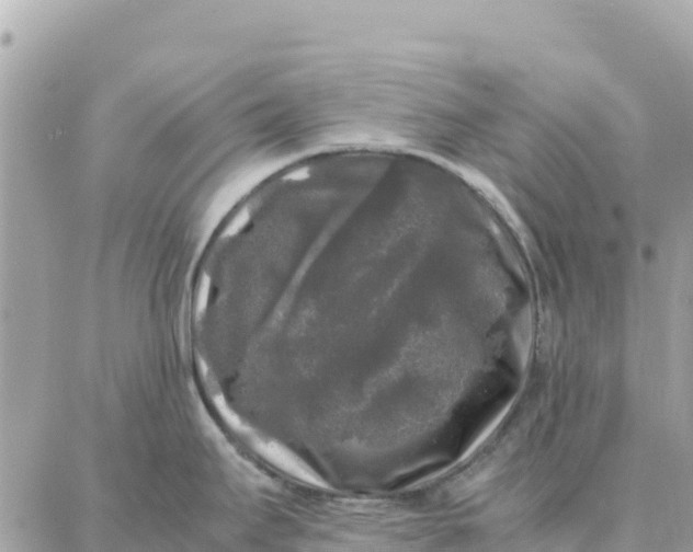 X0000087321295200705041705