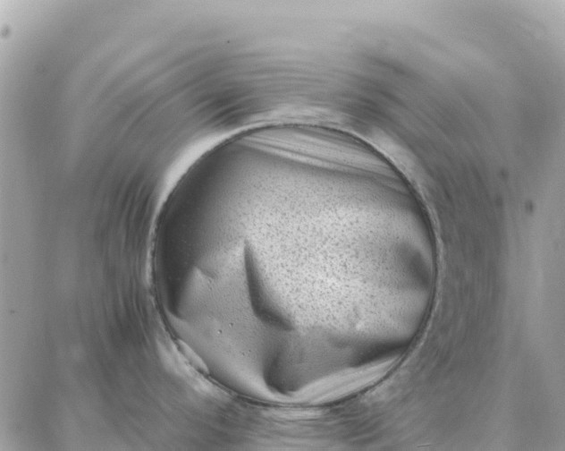 X0000087321296200705041705
