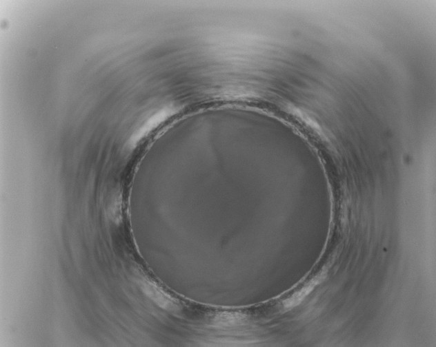 X0000087321306200705041704