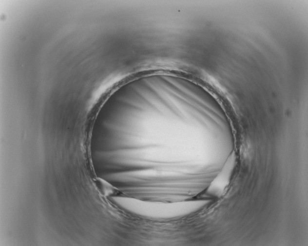 X0000087321312200705041704