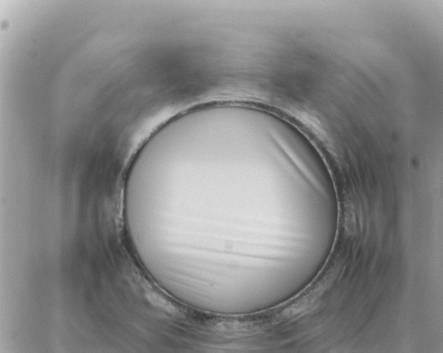 X0000087321366200705041704