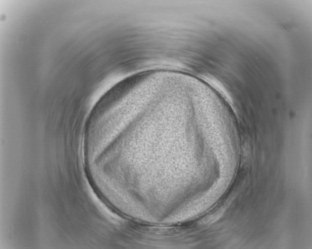 X0000087321391200705041703