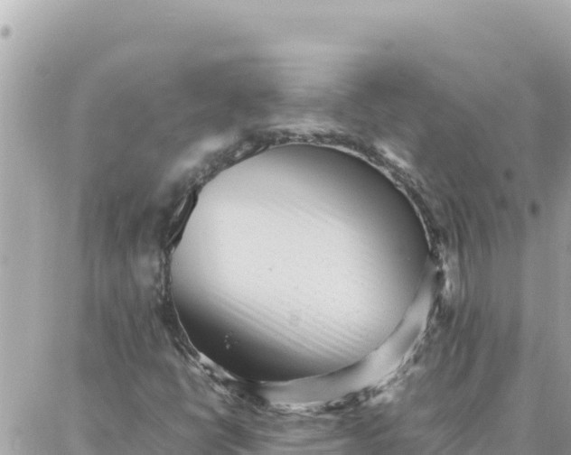 X0000087321398200705041703