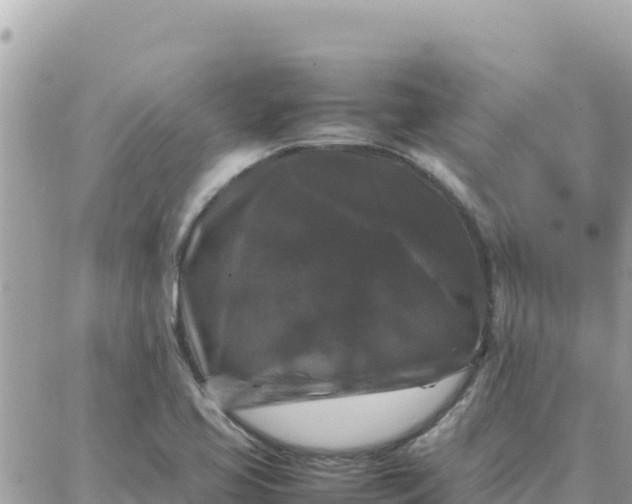 X0000087321413200705041703