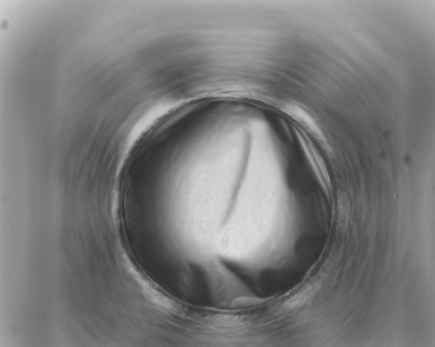 X0000087321424200705041703
