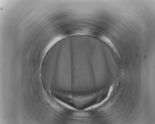 X0000087321427200705041703