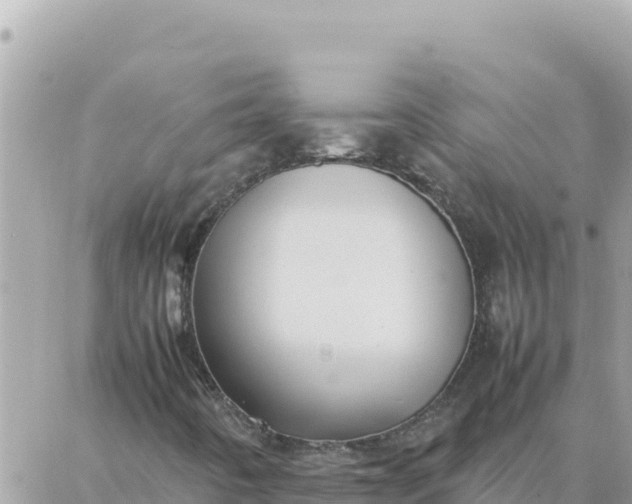 X0000087321442200705041702