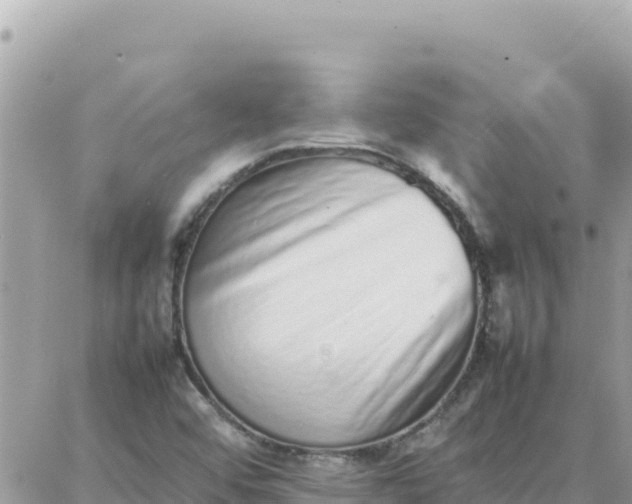 X0000087321456200705041702