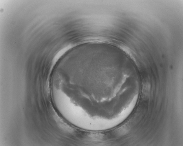 X0000087321466200705041702