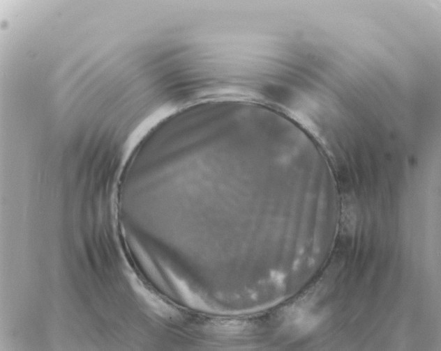 X0000087321474200705041702