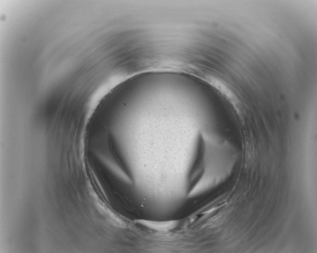 X0000087321480200705041702