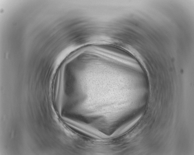 X0000087321488200705041702