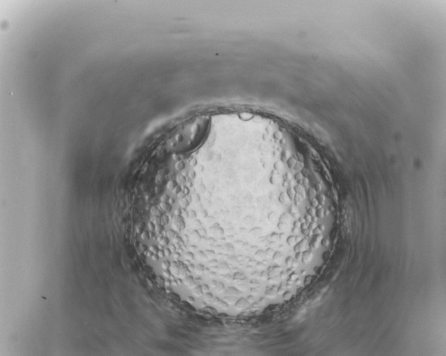 X0000087321494200705041701