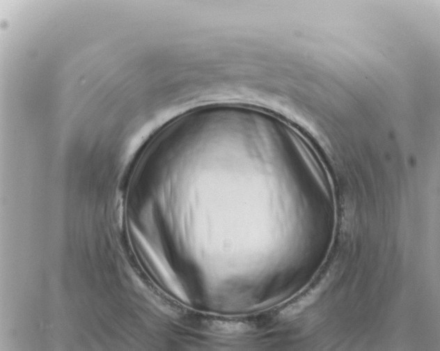 X0000087321509200705041701