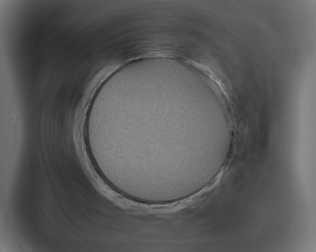 X0000087320001200705112146