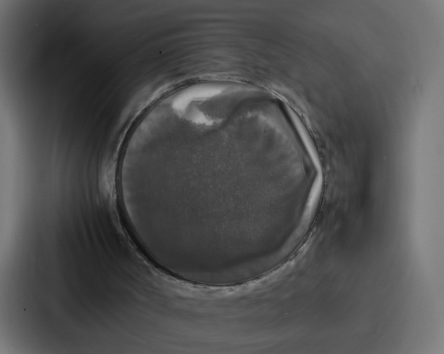 X0000087320002200705112146