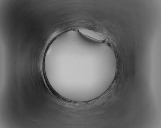 X0000087320003200705112146