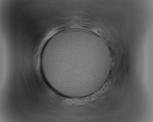 X0000087320005200705112146