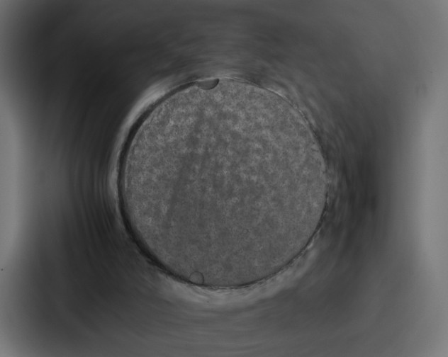 X0000087320006200705112146