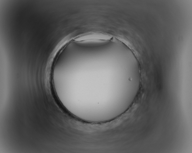 X0000087320007200705112146