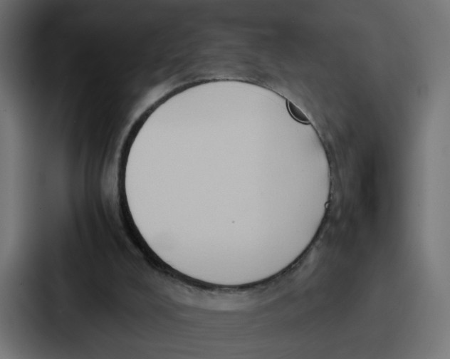 X0000087320008200705112146