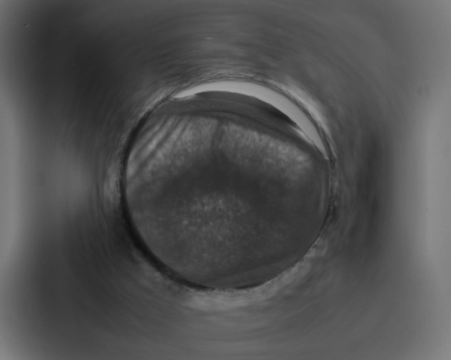 X0000087320009200705112146