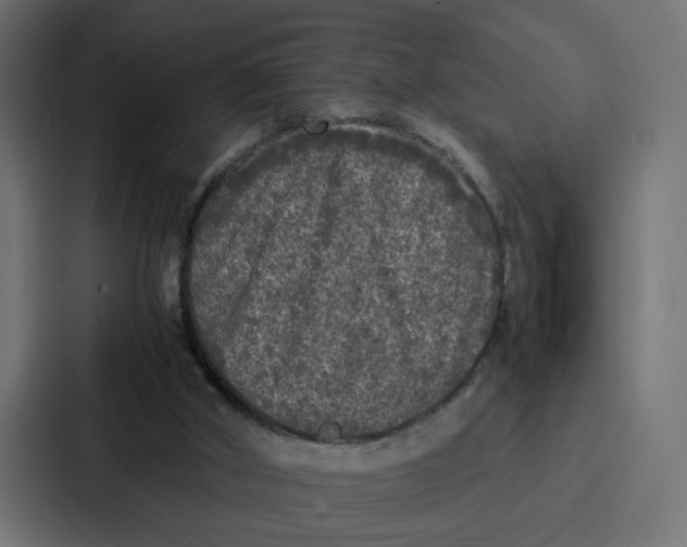 X0000087320010200705112146