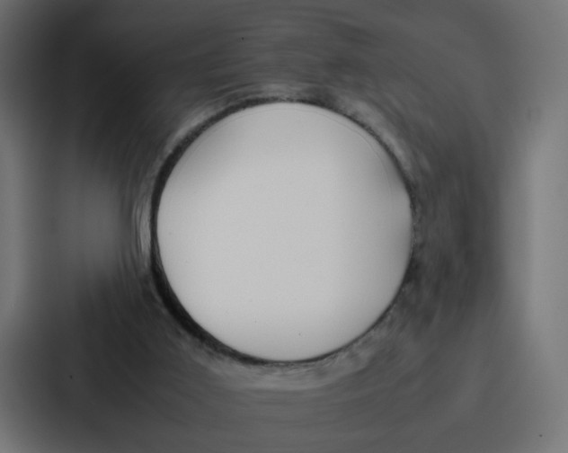 X0000087320011200705112146