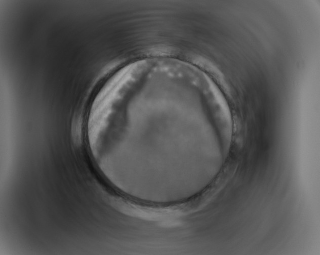 X0000087320012200705112146