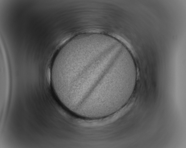 X0000087320013200705112146