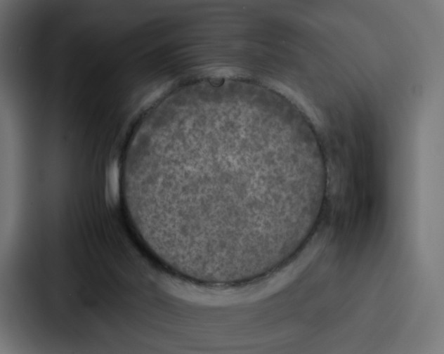 X0000087320014200705112146