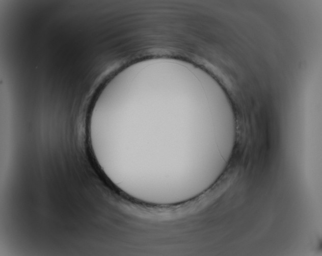 X0000087320015200705112146