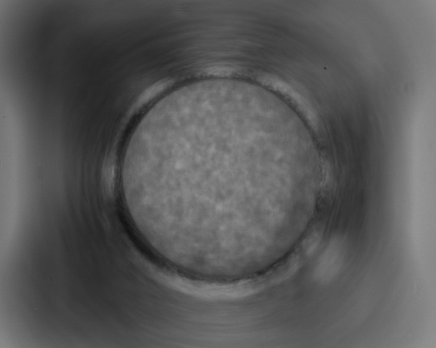 X0000087320016200705112146