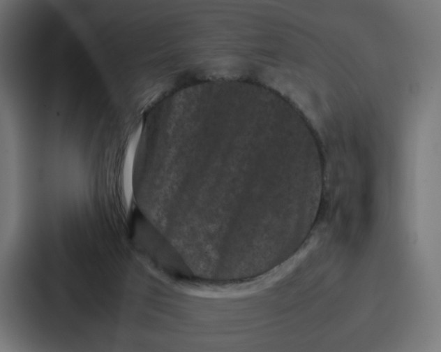 X0000087320017200705112146