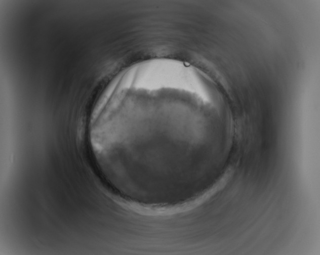 X0000087320018200705112146