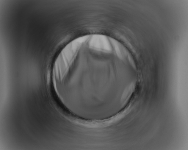 X0000087320019200705112146