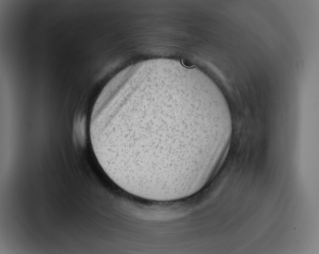 X0000087320020200705112146