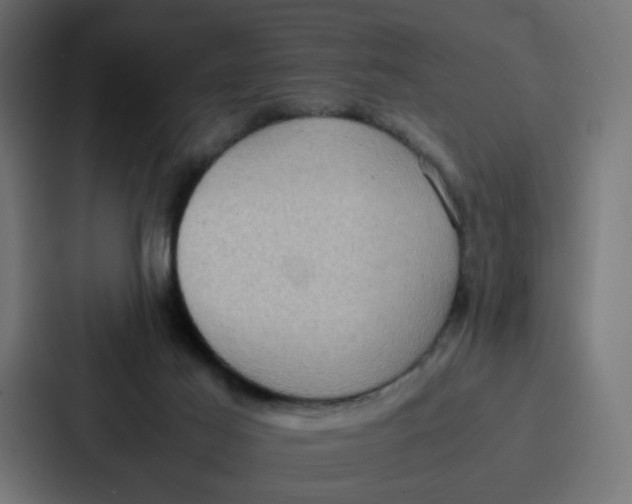 X0000087320021200705112146