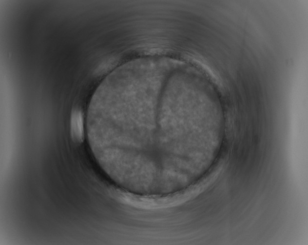 X0000087320022200705112146