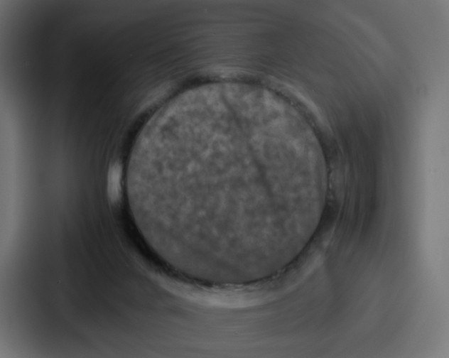 X0000087320024200705112146