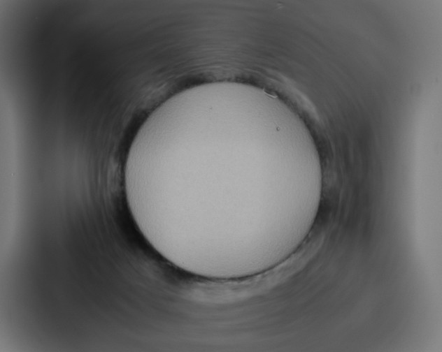 X0000087320025200705112146