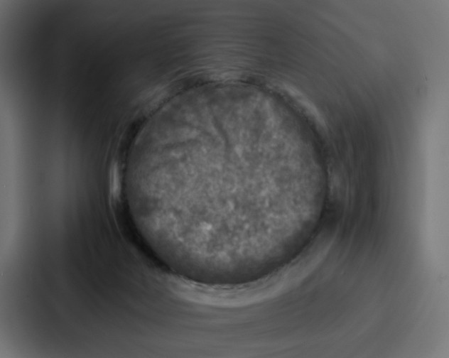 X0000087320026200705112146